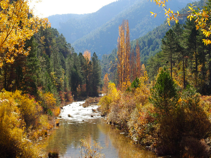 La oferta turística de la Manchuela estará en FITUR - imagen 1