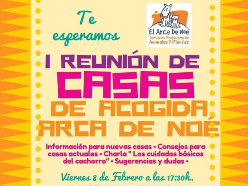 I Reunión de Casas de Acogida de animales Arca de Noé | Albacete - imagen 1