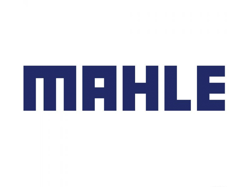 MAHLE tiene la intención de ampliar su planta de Motilla y crear 200 puestos de trabajo - imagen 1