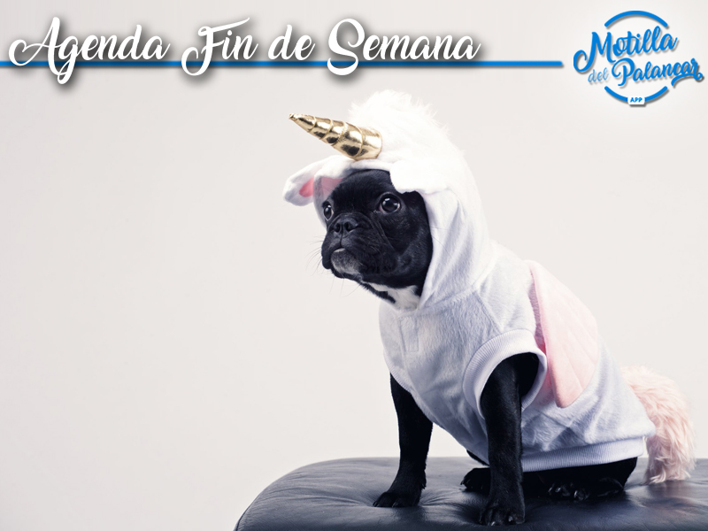 Agenda Fin de Semana | 1, 2 y 3 de Marzo - imagen 1