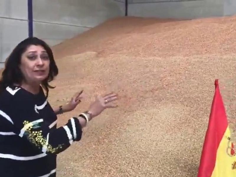 Las lentejas canadienses condenan a las de Cuenca, que se acumulan en los almacenes sin que nadie las compre - imagen 1