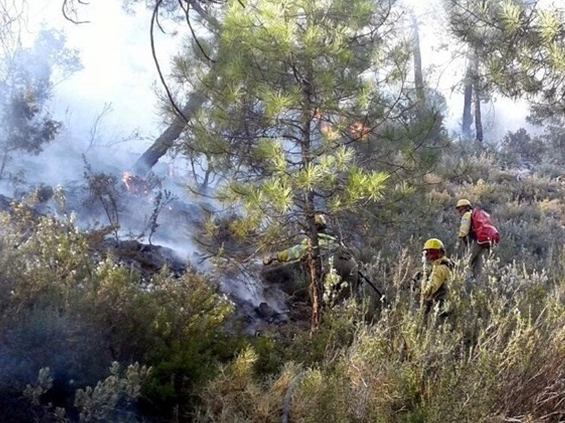 Un incendio pone en evidencia la situación de los bomberos en Cuenca - imagen 1