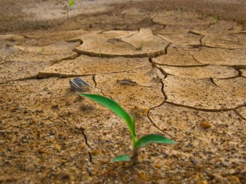 Castilla-La Mancha, una de las tres regiones más afectadas por el cambio climático, según la Aemet - imagen 1