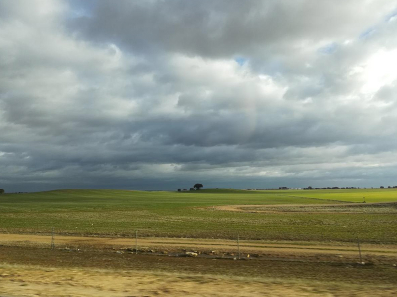 Previsión de El Tiempo: Vuelve el invierno a Castilla-La Mancha - imagen 1