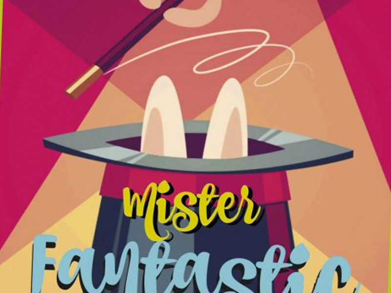 El Show de Míster Fantastic | Casas de Haro - imagen 1