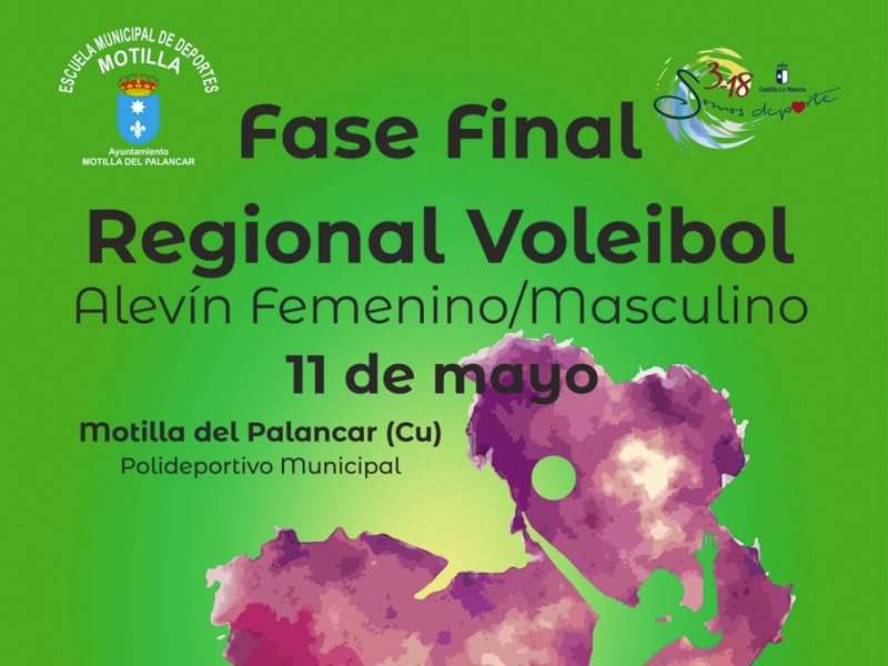 Fase final alevi%cc%81n voley