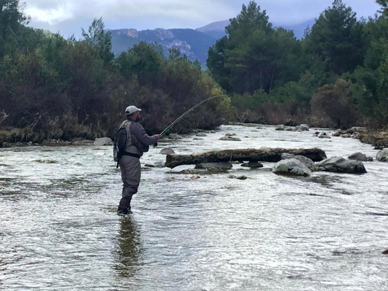 Pesca