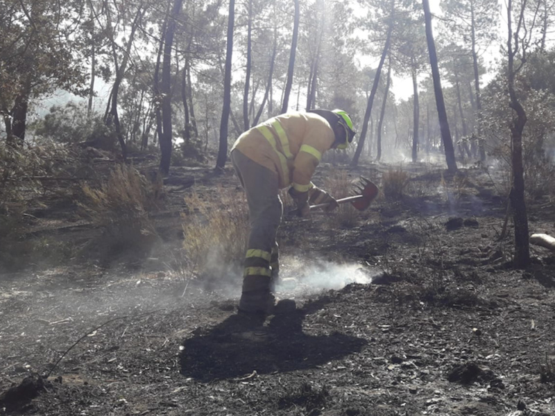 Estabilizado el incendio en Barchín del Hoyo, en Cuenca - imagen 1