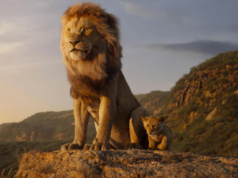 CINE DE VERANO | El Rey León - imagen 1