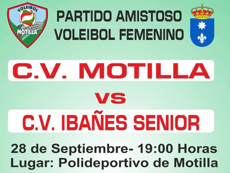 Partido voleibol