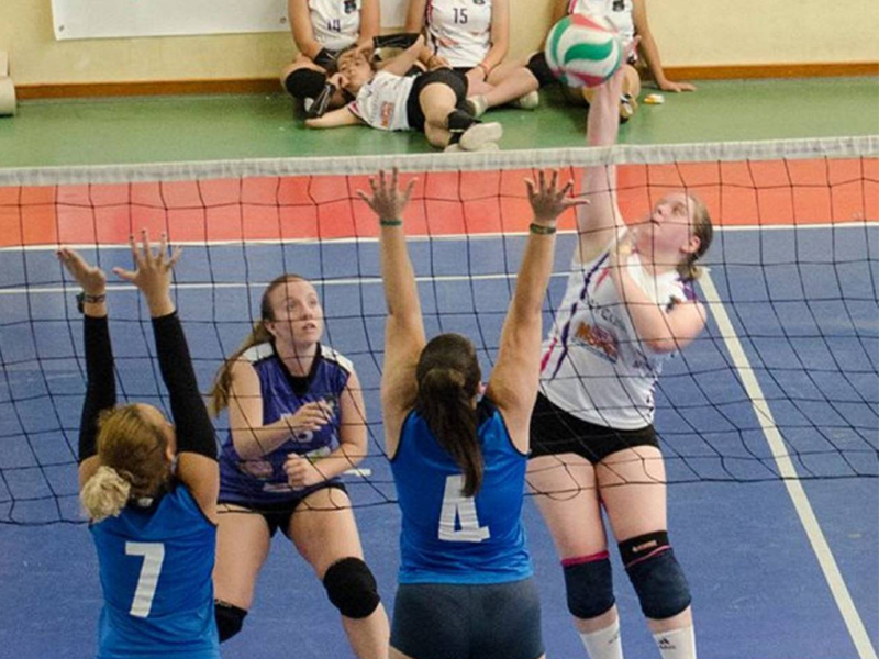 Voleibol