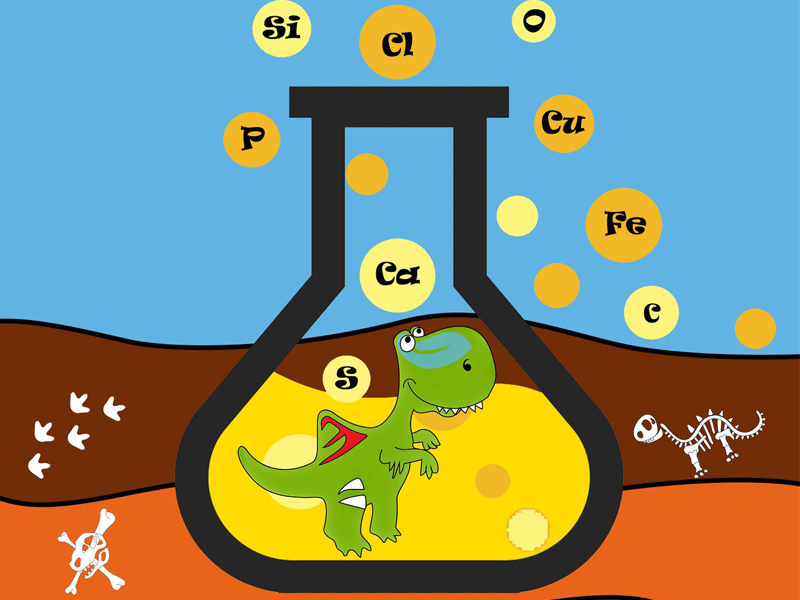 Semana de la Ciencia | Museo de Paleontología - imagen 1