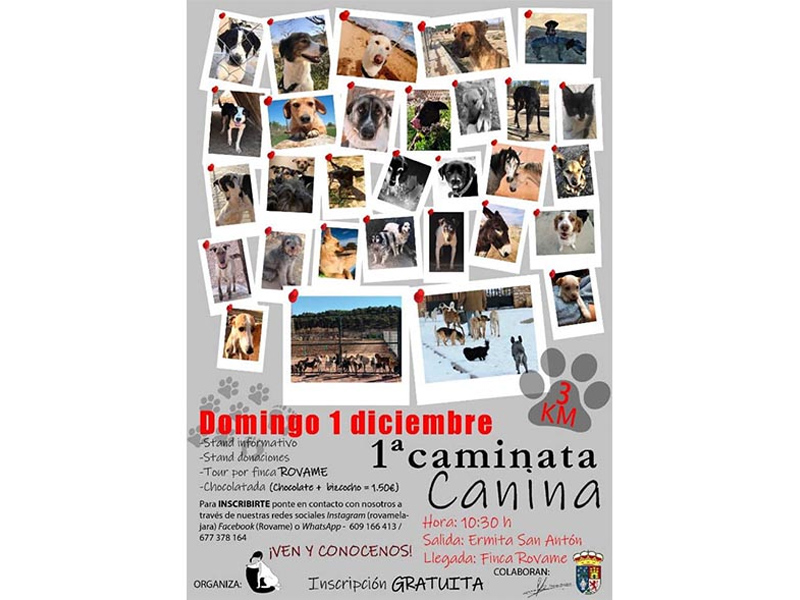 Caminata jara