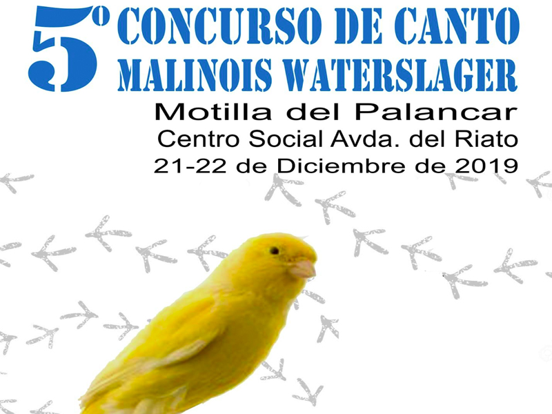 Concurso malinois