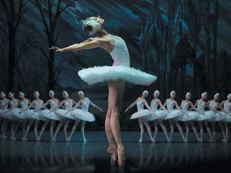 El lago de los Cisnes | Teatro Circo - imagen 1