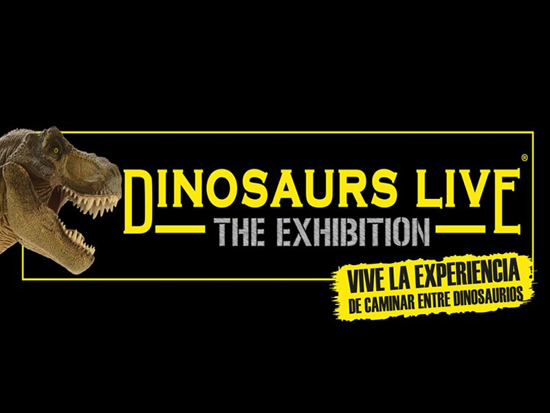Dinosaurs Live | Cuenca - imagen 1