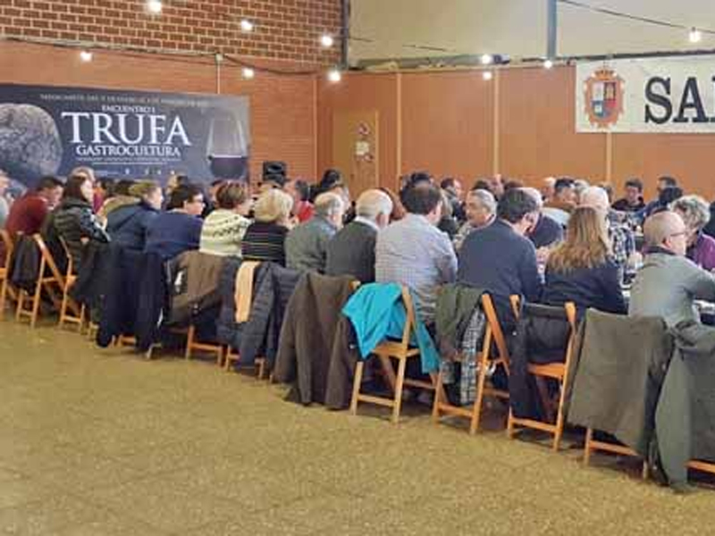 Trufa