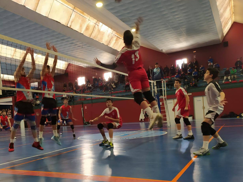 Voleibol portada