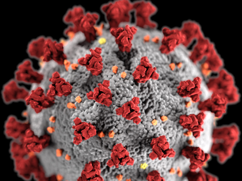 Coronavirus