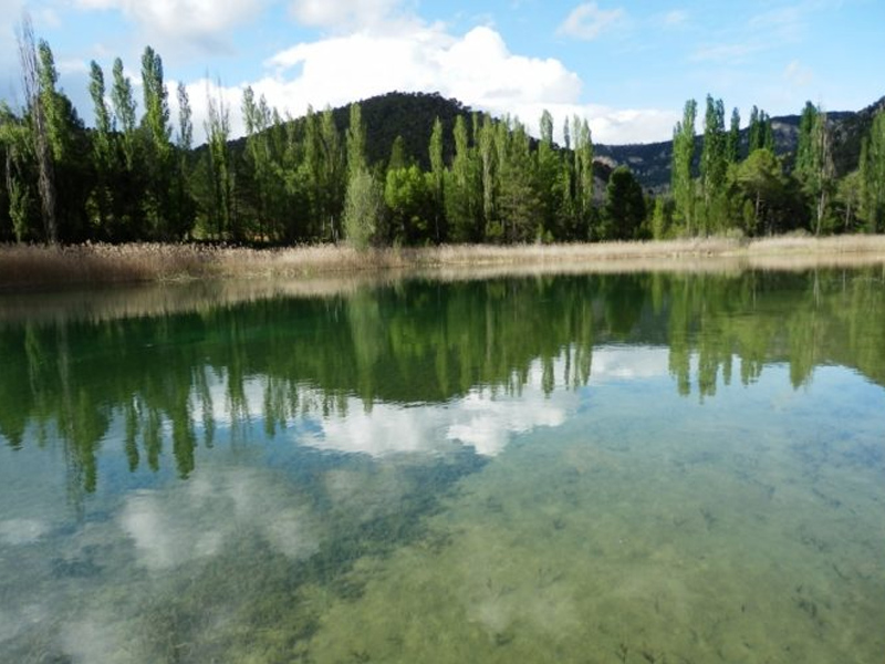 Laguna