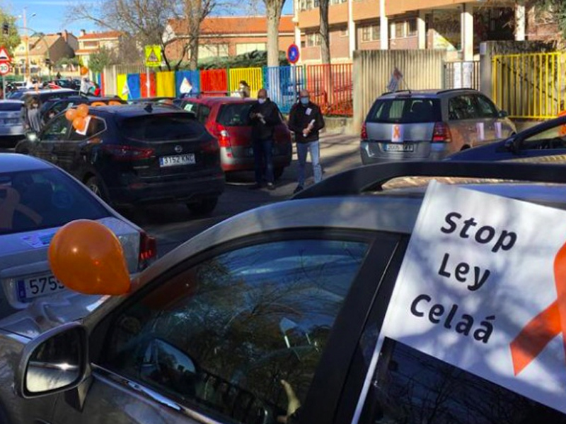 Stop celaa%cc%81