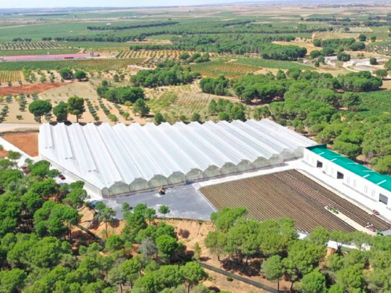 Agroptimun