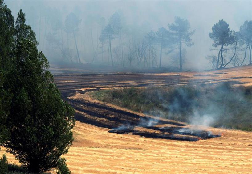 Incendio barchins