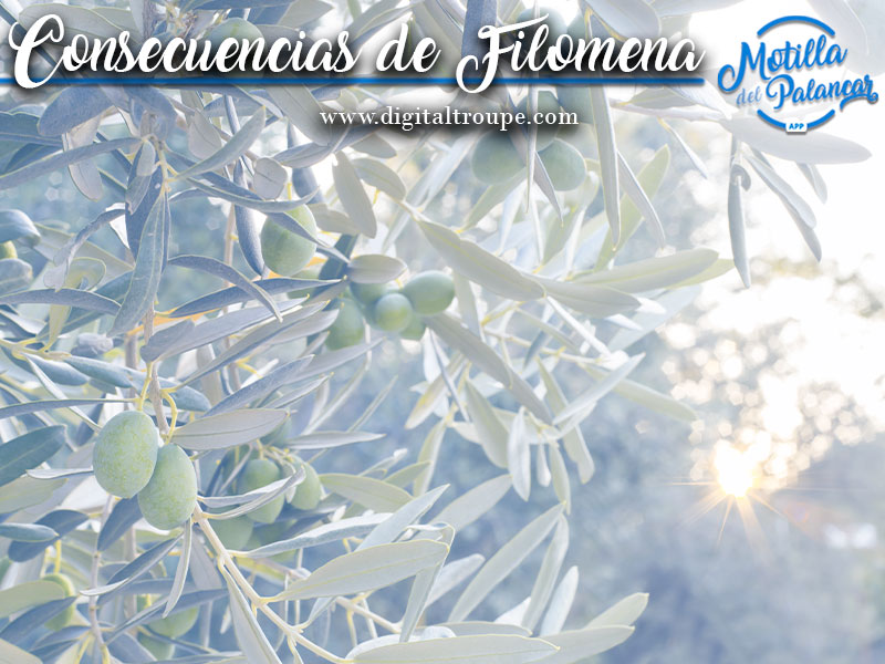 Filome
