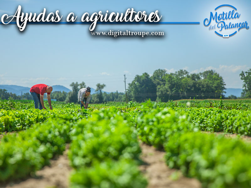 Agri