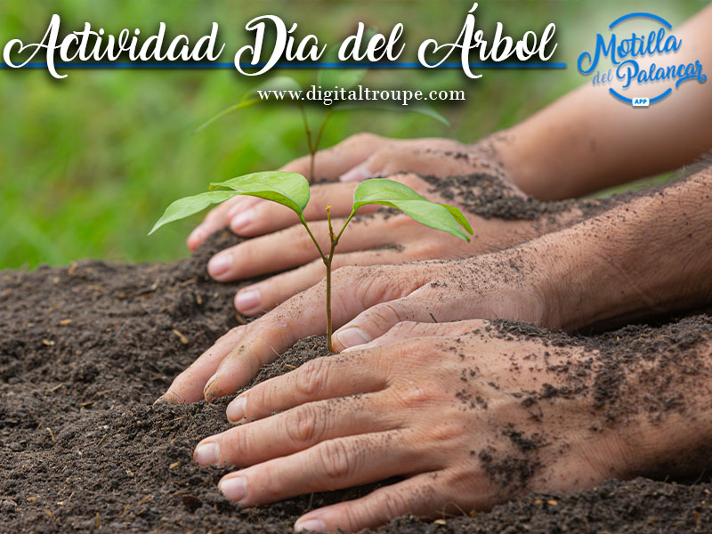 Arbol