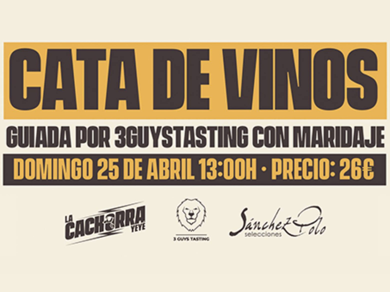Cata de vinos guiada por 3Guystasting - imagen 1