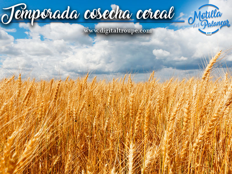 Cosecha