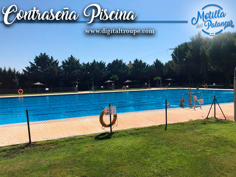 Pisci