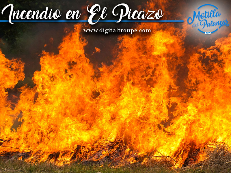 Elpicazo