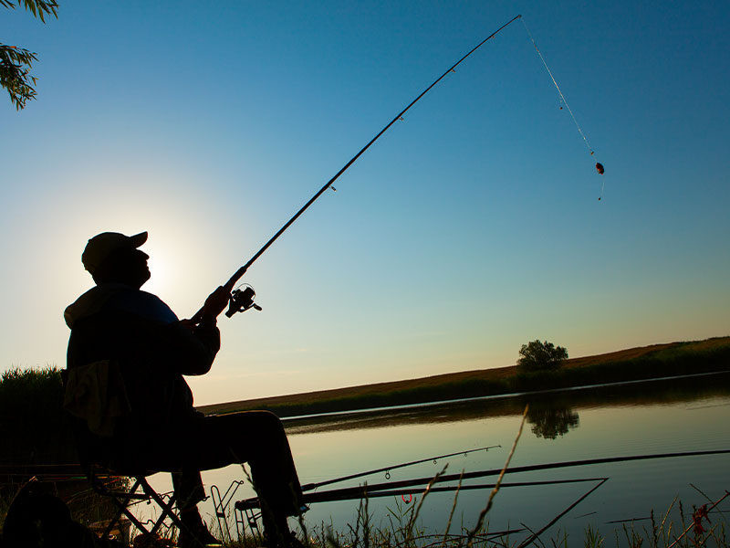Concusopesca