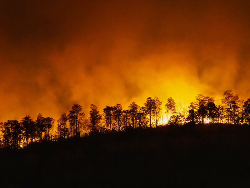 Incendio