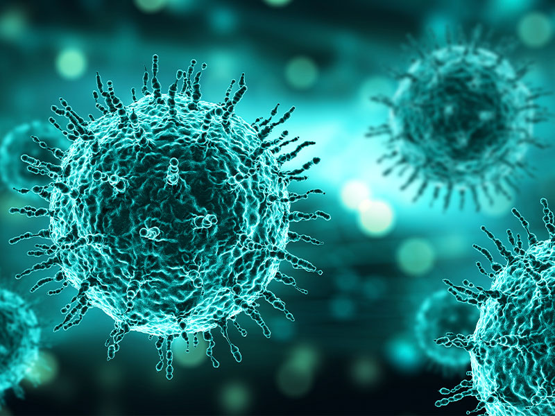 Virus