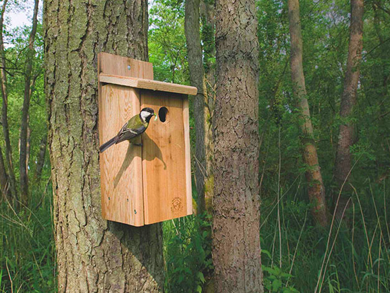 TALLER | Creación de cajas nido - imagen 1