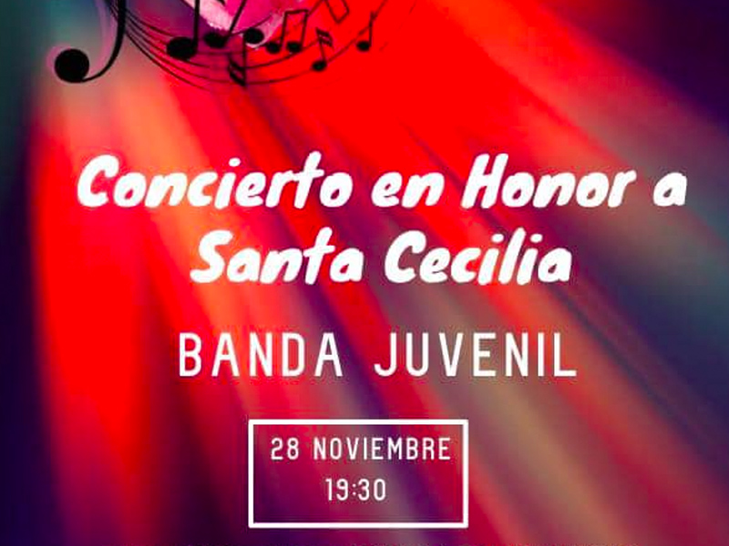 Concierto Banda Juvenil - imagen 1