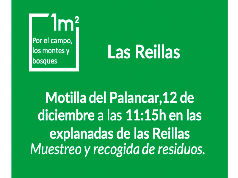 Batida de Limpieza en "Las Reillas" - imagen 1
