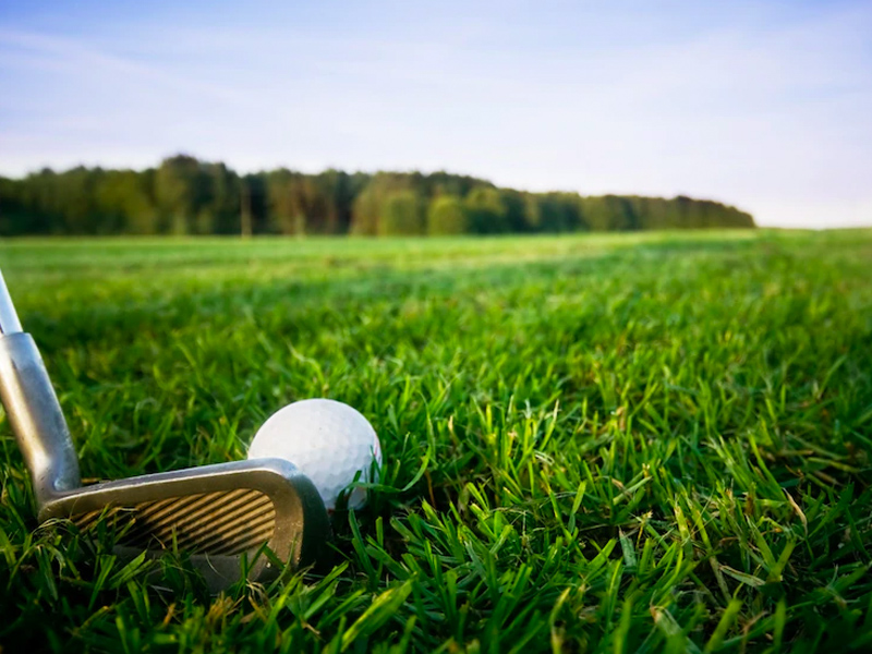 Circuito de Golf Campos Rústicos - imagen 1