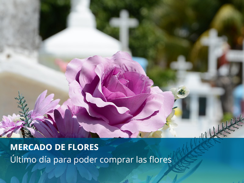 Flores