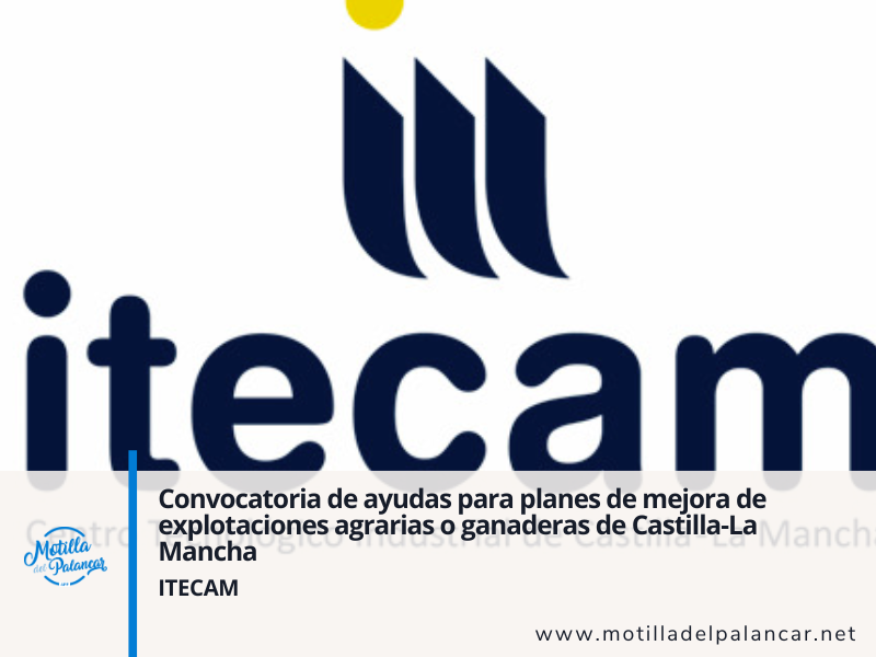 Itecam11