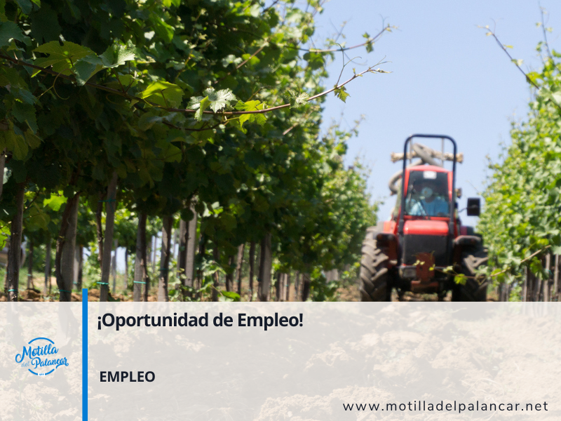 Empleo