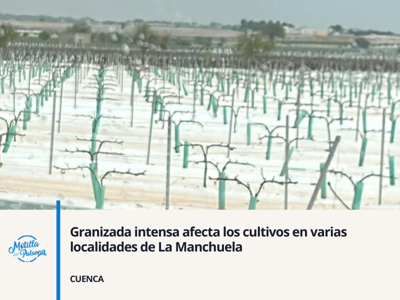 Mayo 2025 app header %2811%29