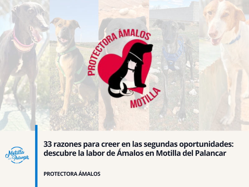 Mayo 2025 app header   2025 08 05t160805.702