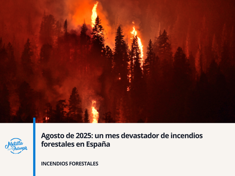 Mayo 2025 app header   2025 08 14t143055.199