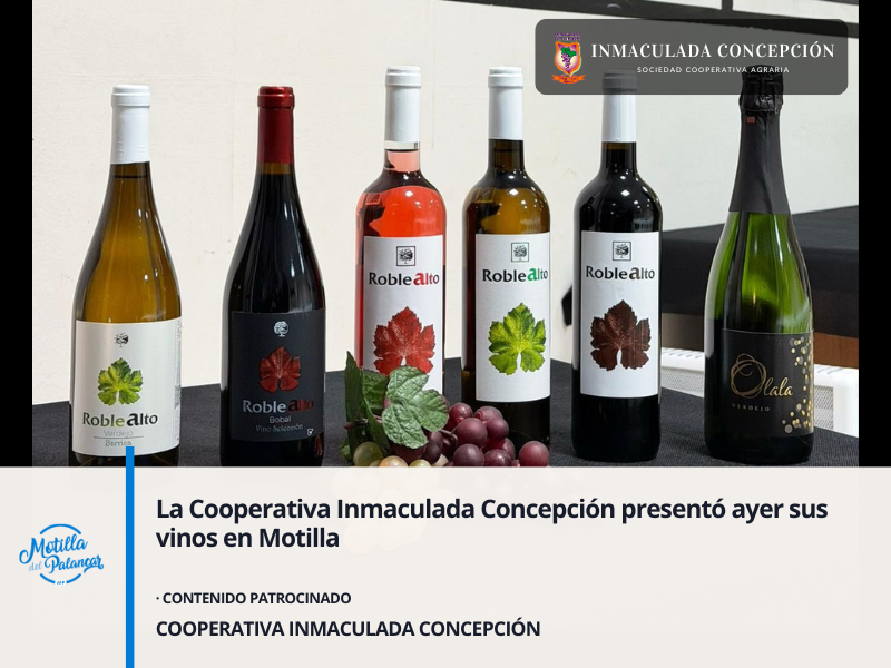 La Cooperativa Inmaculada Concepción presentó ayer sus vinos en Motilla - imagen 1