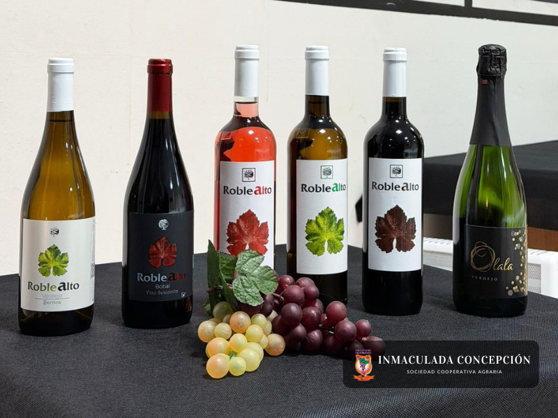 La Cooperativa Inmaculada Concepción presentó ayer sus vinos en Motilla - imagen 1
