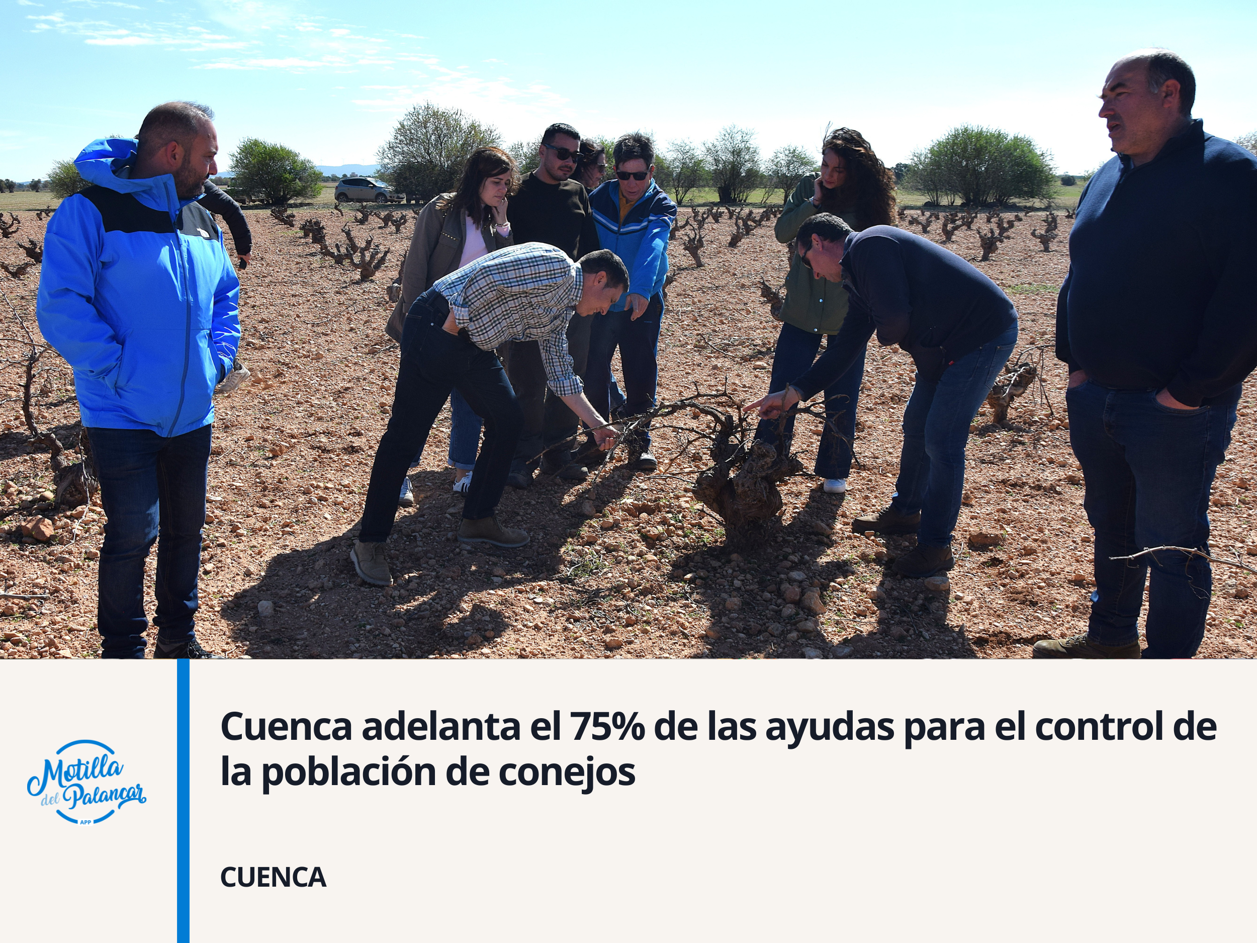 Cuenca adelanta el 75  por ciento de las ayudas para el control de la población de conejos - imagen 1